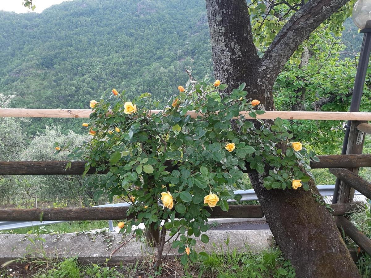 La Casa Di Amelia Villa Borzonasca ภายนอก รูปภาพ