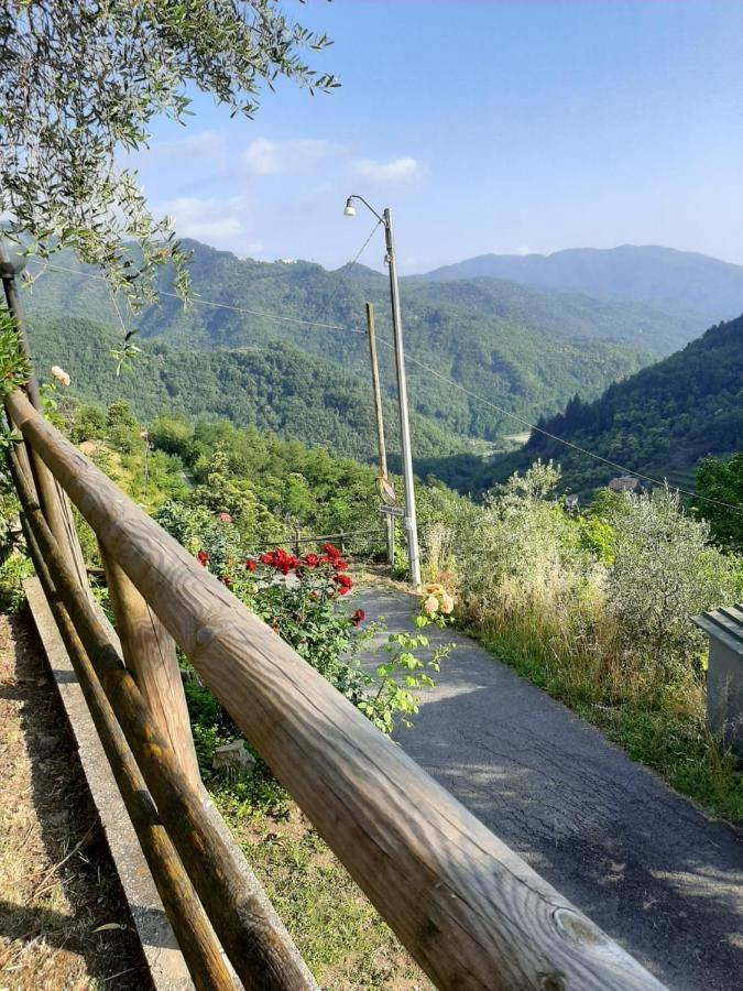 La Casa Di Amelia Villa Borzonasca ภายนอก รูปภาพ
