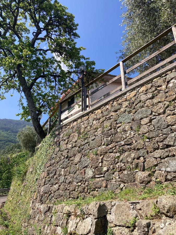 La Casa Di Amelia Villa Borzonasca ภายนอก รูปภาพ