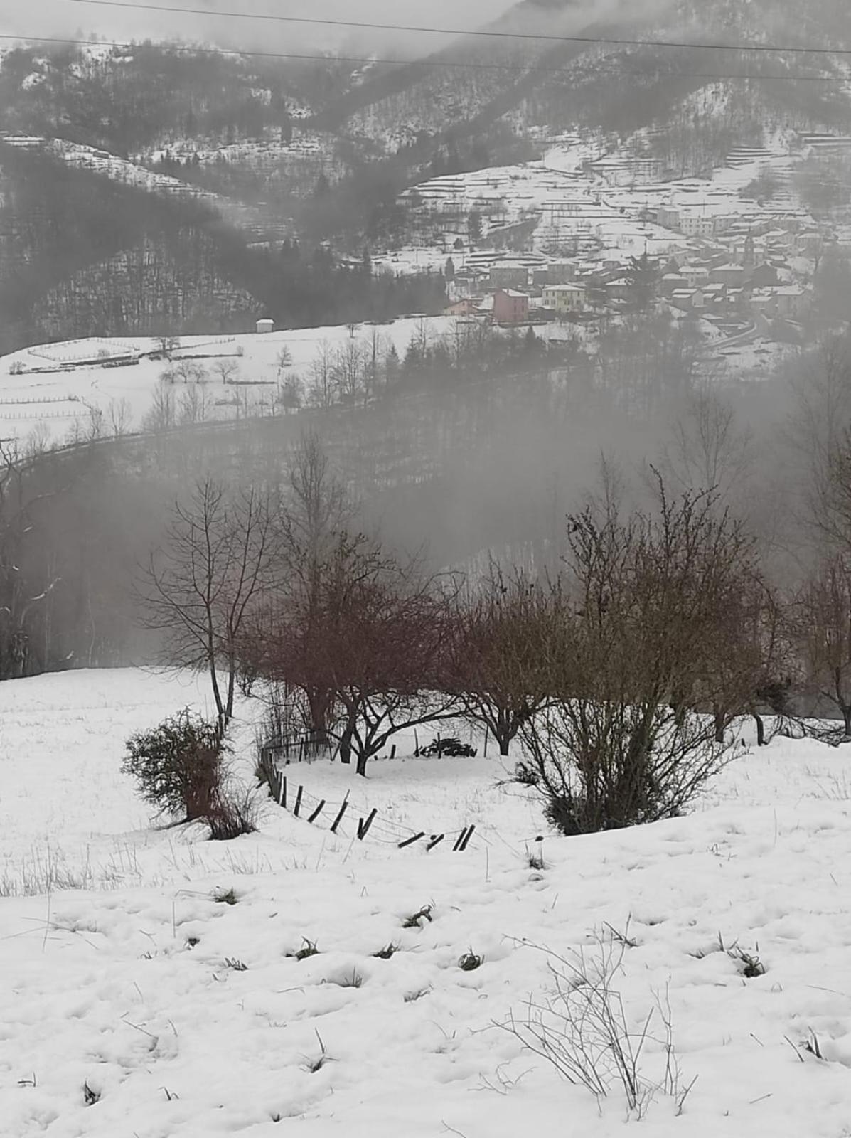 La Casa Di Amelia Villa Borzonasca ภายนอก รูปภาพ